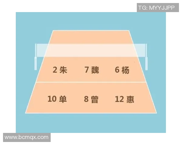 杭州排球队在挑战赛中的耐力展现与战术分析